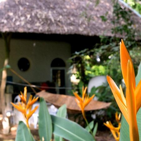 فيلا Kim'S Garden أندا المظهر الخارجي الصورة