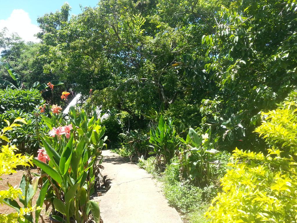 فيلا Kim'S Garden أندا المظهر الخارجي الصورة